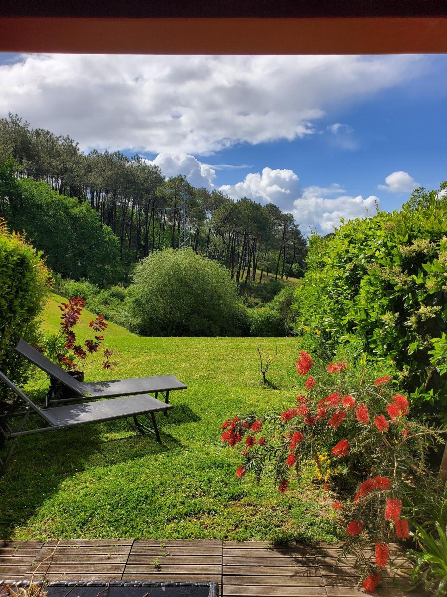 Calme Avec Jardin Biarritz Appartement *